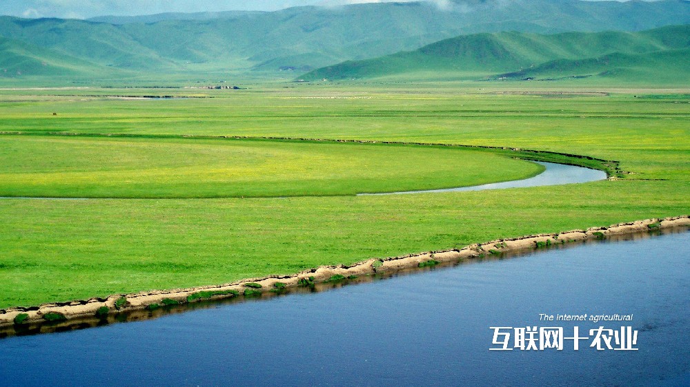 我們?nèi)绾勿B(yǎng)活世界？面向未來的智能農(nóng)業(yè)